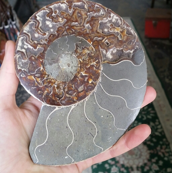 Amorite Fossilized Crystals - Picture 2 of 3